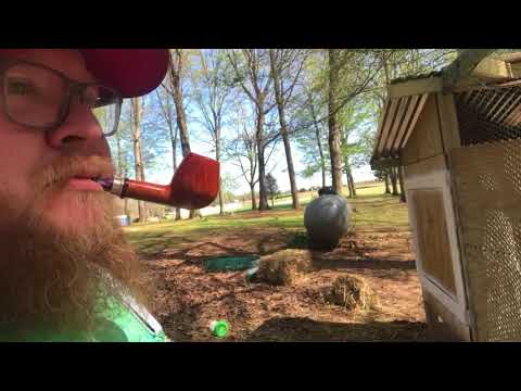 Presbyterian in a Neerup. Our home built chicken coop