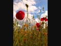 Thomas Allen - Silent Noon 