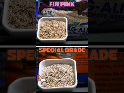 Which Saltwater Aquarium Sand Is BETTER?!