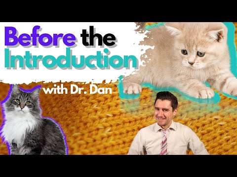 Two tests for every kitten before introductions with your current cat