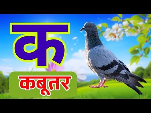 अ से अनार,आ से आम,हिंदी वर्णमाला,अआइईउऊ,क से कबूतर, a se anar, aa se aam, हिंदीस्वरब्यंजन  #kidssong