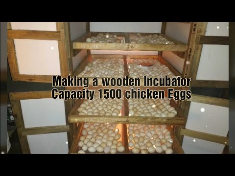 Homemade incubator, homemade egg incubator, how to make egg incubator, simple egg incubator.