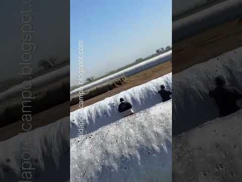 En Sacanta, provincia de Córdoba,  la piedra arruinó 1.200 metros de silo bolsa
