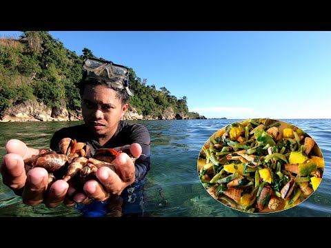 "Sikad" Shells Ginataan | Forage & Cook