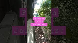 Download lagu Pukulan Jarak Jauh#shorts mp3 Download lagu Pukulan Jarak Jauh#shorts mp3