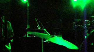 Bugs and Rats- Boys are Dumb