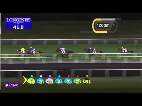 Race 4 - Balanchine Sponsored By Al Naboodah Construction Group