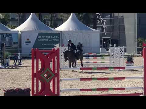 SOLD to NLD_*2013 gelding by Cascadello I x Carthago_winner 7yo class in Oliva