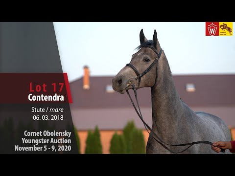 Cornet Obolensky Youngster Auction - Lot 17  Contendra - mare by Cornet Obolensky - Contender