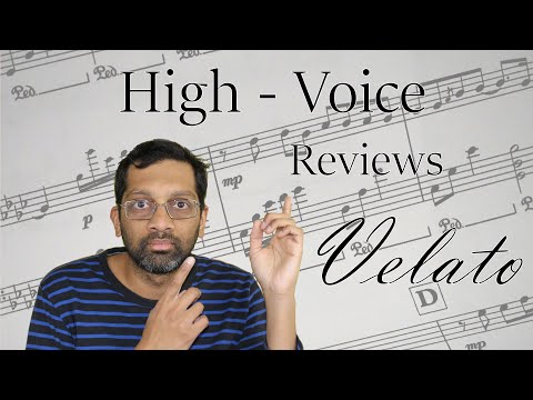 Velato Programming Language Review