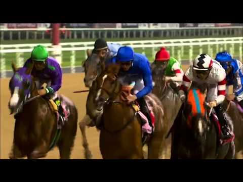 Get ready for all the excitement of the world's richest horse race, Dubai Wor
