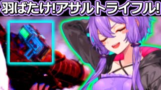 アサルトライフルを最強にする新時代のカスタマイズ？『フォールアウト76』