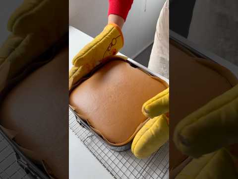 Will you try this chocolate Castella cake? #softcake #fluffycake #chocolate