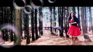 Download lagu Tu Pagal Premi Awara Dil Teri Mohabbat Ka mara mp3