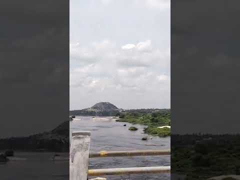 Bavani rever 😍😍😍😍