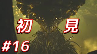 【初見】シーウー｜完全新規未公開モンスター登場、護獄焔蛸ではない　チャージアックス ソロ【MHWs実況/モンハンワイルズ】#16