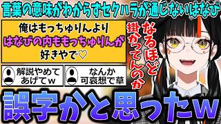 セクハラコメントの意味が分からず冷静に分析し始める蝶屋はなび【ぶいすぽ/切り抜き】