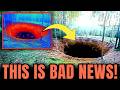 Mel S Hole Was Just Scanned By An AI And It Revealed Something No One Expected