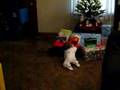 First Christmas Morning