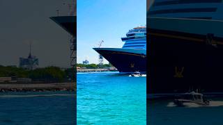 Disney Dream 🛳️#like #share #comment #subscribe #cruiseship #cruise #vacation #shorts #short #video