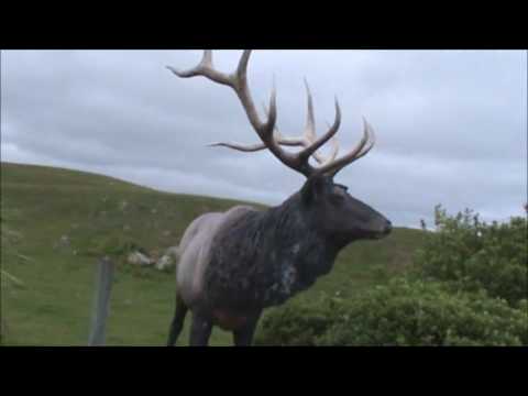 Fiordland 2011 Lugar Burn