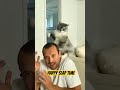 Epic Cat Slap Compilation Funniest Moments Of Cats