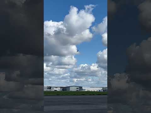 Hanger 9 Mustang | War Bird