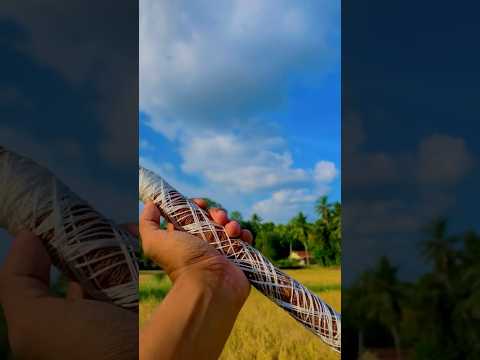 නූල නම් සෙට් නෑ වගේ 😤❤️✨ #kite #kiteflying #sarungal #foryou #srilankatravel #srilanka #funny