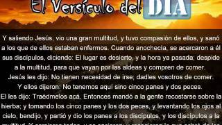 Miniatura del video: El versiculo del dia .com - Mateo 14 v14-20