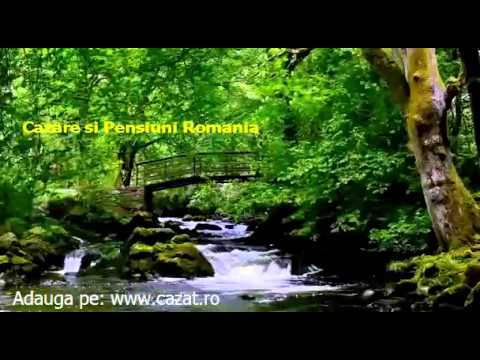 Cazare Titesti, Arges - Cazat.ro