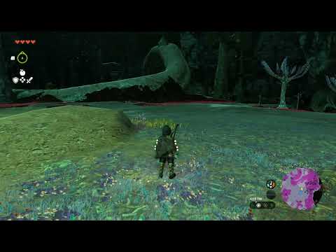 The Legend of Zelda, Tears of the kingdom, exit to depths, camera work in the depths mission