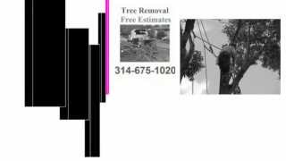 preview picture of video '(314) 675-1020 Free Estimates Tree Service Desoto MO 63020'