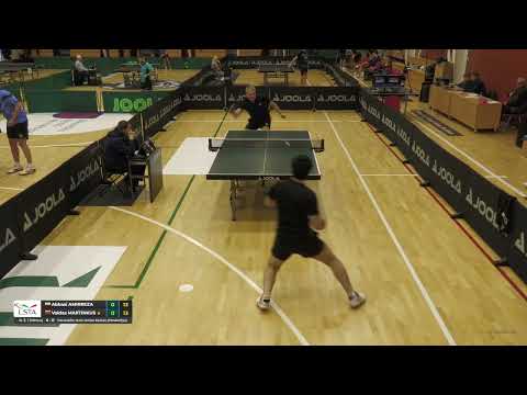 Abbasi Amirreza - Valdas Martinkus