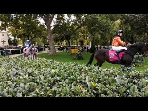 Kincsem - Díj 2020 jártató