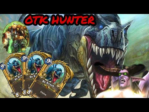 OTK LEOROXX HUNTER!!!! - DH DESTROYER!! - Ashes of Outland - Hearthstone Expansion