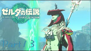 王子思った以上にナヨナヨしてるな？？？-ゼルダの伝説 Tears of the Kingdom -part13-