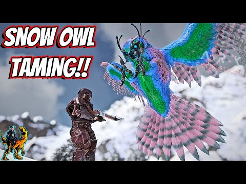 BRAVING THE FROZEN WASTES TO TAME SNOW OWLS!! || Ark Story Unmodded Ep 128!
