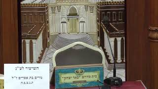 שידור חי LIVE  | שיעור גמרא עם הרב משה דנינו  ובשעה  20:15 שיעורו של הרב יעקב ביקסר