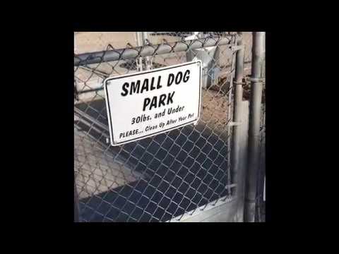 download lagu mp3 mp4 Dusty Rhodes San Diego, download lagu Dusty Rhodes San Diego gratis, unduh video klip Dusty Rhodes San Diego