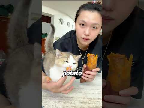 No one warned me feeding the kitten is dangerous. 😲