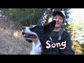 Martha Speaks Who S That Dog Song
