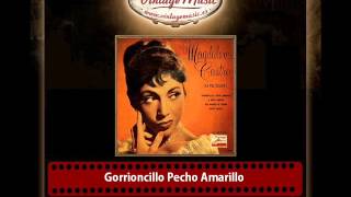 Magdalena Castro – Gorrioncillo Pecho Amarillo