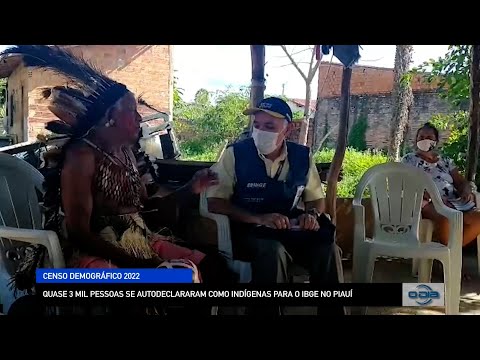 Quase 3 mil pessoas se autodeclaram como indígenas para o IBGE no Piauí 12 10 2022