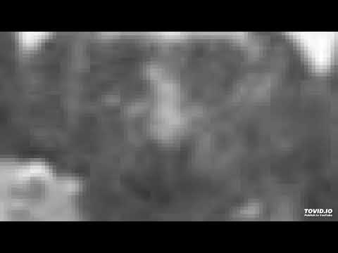 27. DAS TRÊS FONTES NOBRES - João Pereira