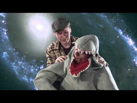 BEARS - Cult Of The Icebox King