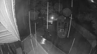 North Carolina · DAYCARE PLAY YARD #1 live stream