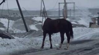 White Lies --- Farewell To The Fairground