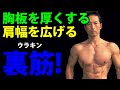 胸板を厚くする、肩幅を広げる裏筋(ウラキン) 大胸筋、三角筋だけの問題じゃない!あの筋肉が大切!