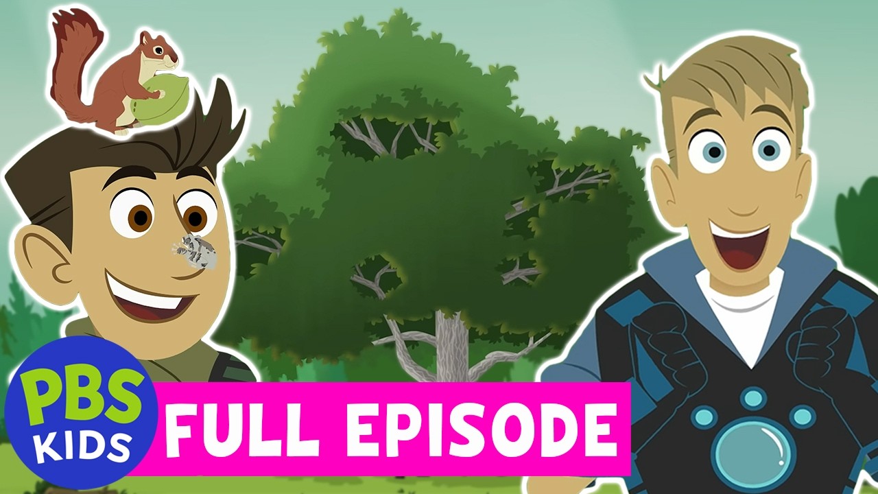 Wild Kratts FULL EPISODE | Butternut Tree 🌳 | PBS KIDS