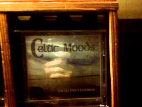 Brad Prevedoros Amarillus